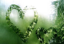 乐鱼体育网站入口-罗马险胜奥地利，格列兹曼带队取胜的简单介绍